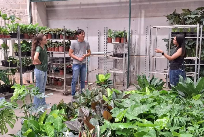 Dia Internacional da Mulher ganha relevância no calendário do setor e presença feminina cresce na produção de flores e plantas
