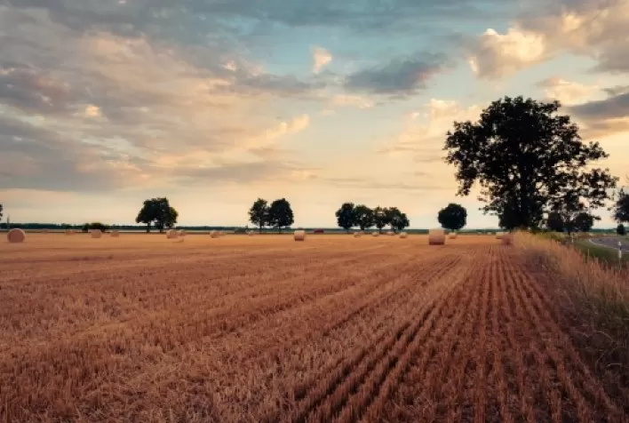 Como as mudanças climáticas afetam práticas agrícolas