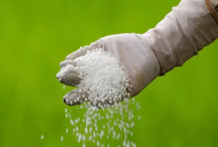 Índice de Poder de Compra de Fertilizantes é divulgado na Expodireto Cotrijal 2024