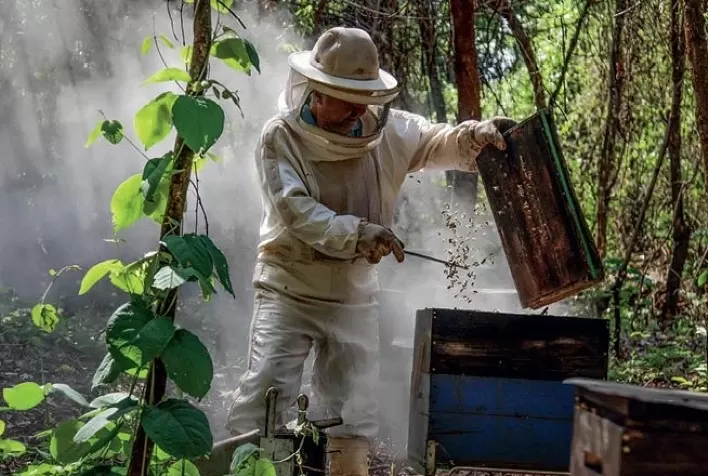 Apicultor de Itaporanga aumentou produção em mais de 200%