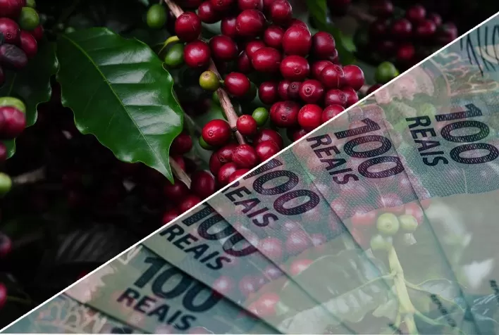 Cafeicultores têm acesso a crédito para custeio e capital de giro de maneira simples e 100% digital, e podem pagar com café