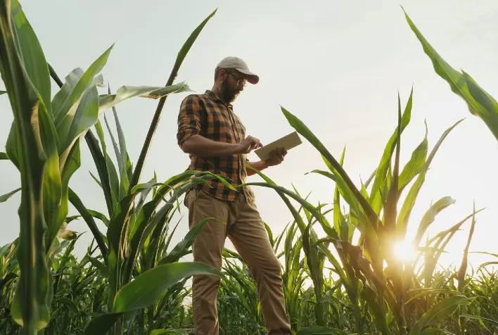 Produtor rural, conhecer as lacunas do seu negócio é o ponto de partida para superar a crise no agro