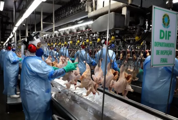 COMÉRCIO EXTERIOR: Mais seis plantas paranaenses são habilitadas para exportar frango para a China