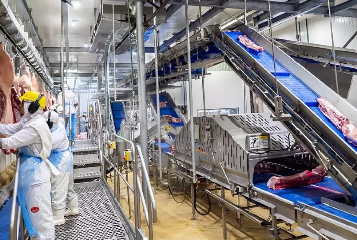 Oferta ajustada impulsiona aumento de preços no mercado de suínos no Brasil