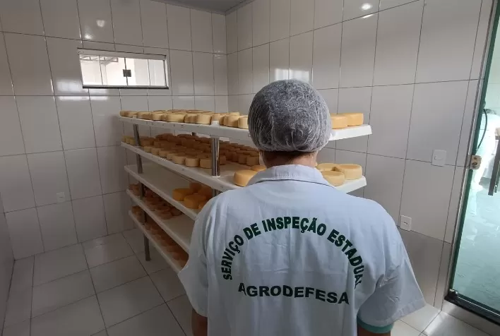 Agrodefesa realiza capacitação para profissionais da Vigilância Sanitária de Goiânia