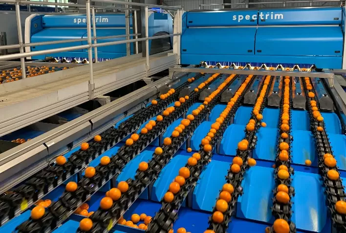 Tomra Food promove reestruturação no mercado brasileiro e nomeia João Medeiros como gerente comercial da estrutura