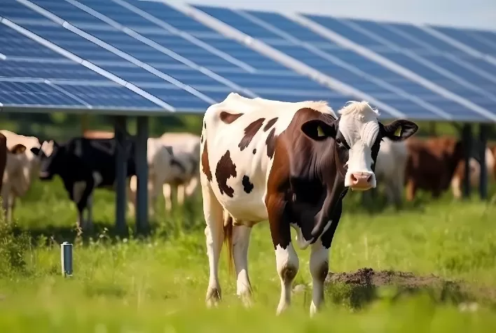 Itaú Unibanco expande oferta de crédito para painel solar no Brasil