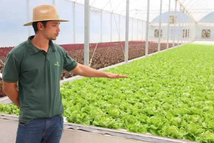 Verdureira aposta em tecnologia para reduzir desperdício de alimentos