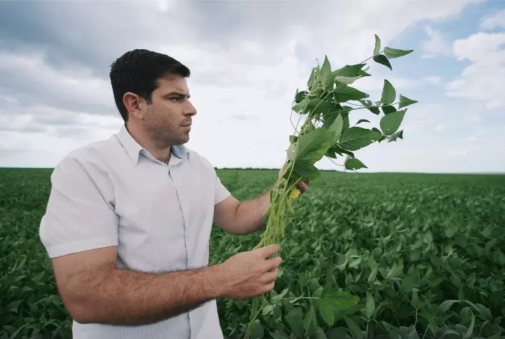 Produtor rural do Mato Grosso aposta na tecnologia para impulsionar produção após sucessão familiar