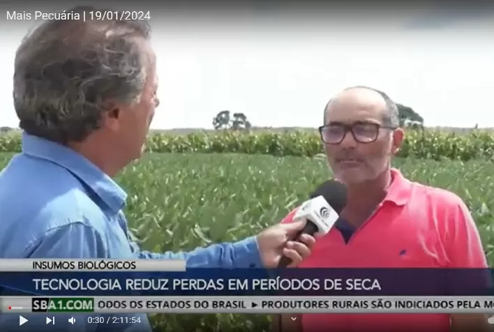 Mesmo em condições climáticas adversas, produtor de Londrina/PR alcança média de 160 sacas por alqueire com manejo biológico