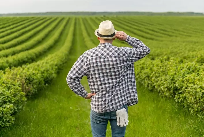 Governo autoriza renegociação de dívidas de produtores rurais que vencem este ano