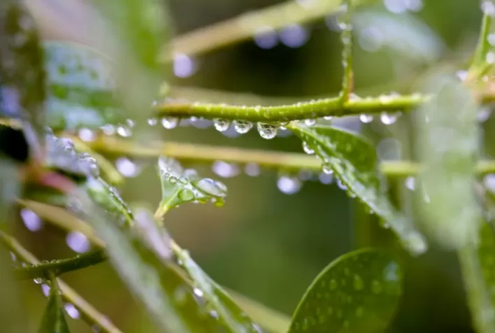 INMET: Como será o clima no Brasil em abril?
