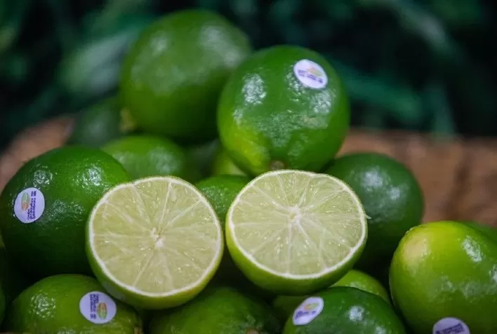 FAESP solicita ajustes nas medidas fitossanitárias para exportação de lima ácida Tahiti para a Europa