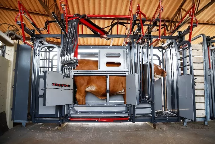 Atenta às necessidades da pecuária por equipamentos de contenção bovina, Beckhauser lança a linha Beck Total Flex