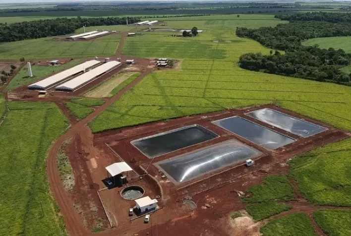 Produtores de suínos da Seara geram energia elétrica a partir de dejetos de animais