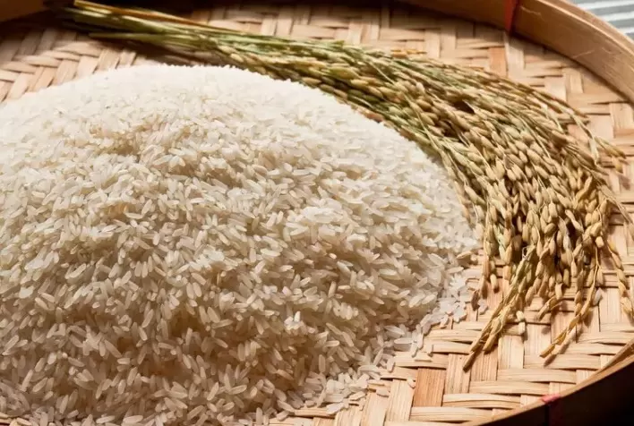 Preços do arroz mantêm-se firmes devido ao atraso na colheita e oferta limitada