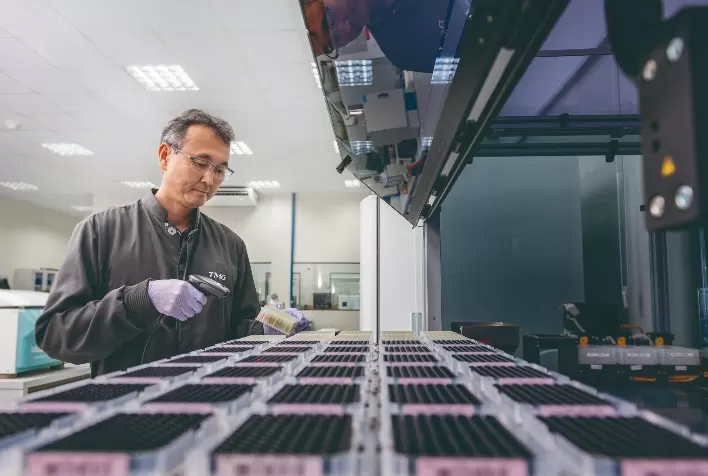 TMG dobra capacidade de produção de cultivares com o uso de tecnologia