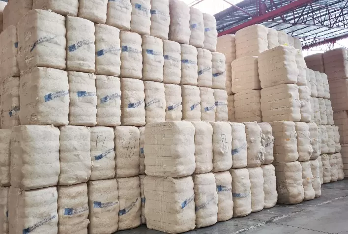 USDA apresenta leve aumento nas exportações de algodão do Brasil e redução nos estoques mundiais