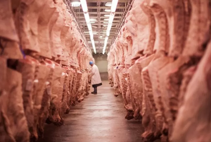 Exportações de carne de Mato Grosso crescem 25%, mas preço sofre queda de 5%