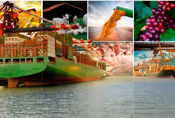 BALANÇA COMERCIAL: Exportações do agronegócio brasileiro batem recorde no primeiro trimestre de 2024 e atingem US$ 37,44 bilhões