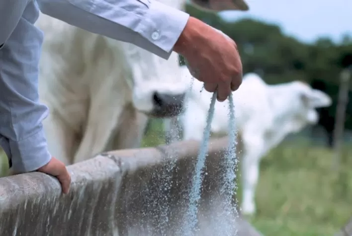 Connan destaca tecnologia exclusiva para suplementação bovina na Norte Show 2024
