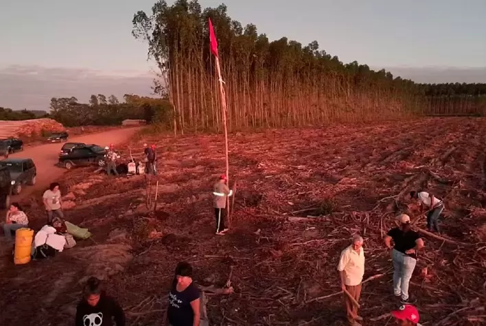 Reintegração de posse em terras invadidas: Decisões do STF afetam diretamente o setor agropecuário