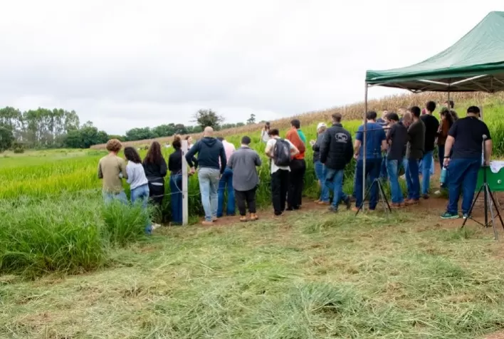 UFLA formaliza cooperação internacional para o desenvolvimento de cultivares de arroz para as condições de Angola