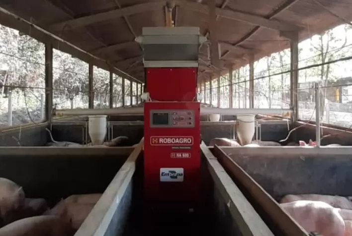 Embrapa demonstra que utilizar o sistema de alimentação controlada com robôs gera economia de 20,7 t de ração/ano ou R$ 41,4 mil/ano por produtor