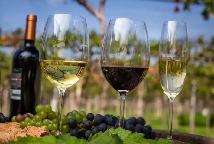 Definida a data do 2º Fórum de Vitivinicultura da Campanha