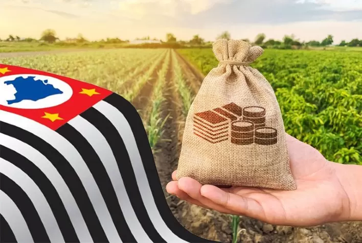 Desembolso de crédito rural em São Paulo cresce 37,8% em nove meses