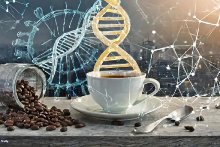 Genoma referência do café arábica é sequenciado com participação de pesquisadores brasileiros