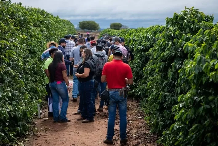 Dia de Campo da Fundação Procafé em Franca mostrará eficiência do uso de drones no cafezal