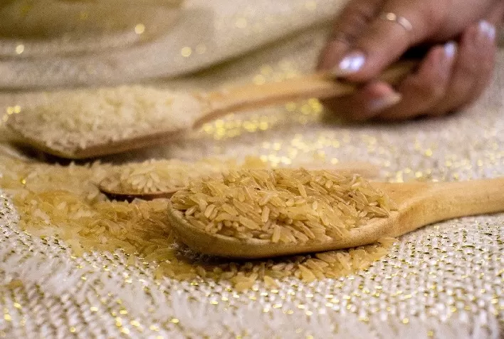 Arroz Catarinense: Fonte de energia e base para diversos produtos