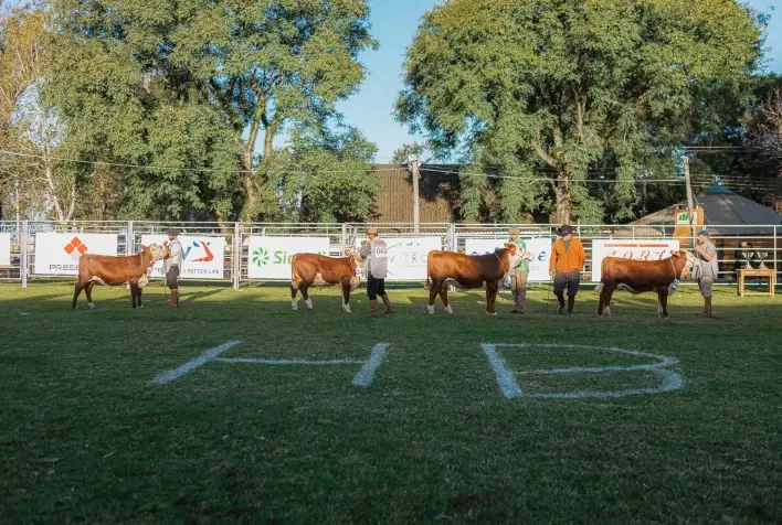Nacional do Hereford e Braford projeta superar expectativas em 2024