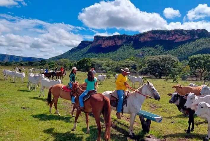 Emater Goiás, em parceria com Goiás Turismo, inicia programa de turismo rural em Goiás