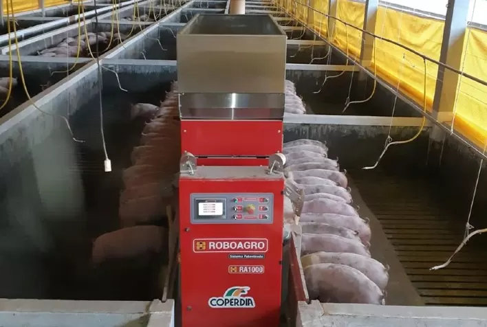 Robôs na Suinocultura: Inovação economiza 37 toneladas de ração por ano
