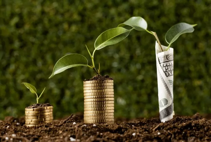 Fiagro em Alta: Investimentos no setor agrícola crescem mais de 100% em 2023, ultrapassando R$ 20 bilhões