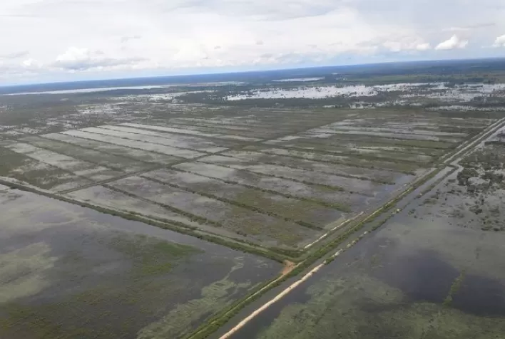 Chuvas no RS podem causar perdas de até 10% na safra de arroz e prejuízo de R$ 68 milhões