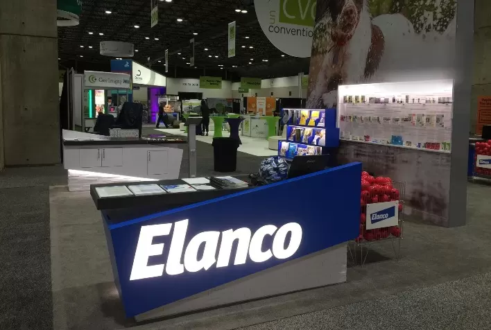 Elanco na Expoingá 2024: Melhorador de desempenho é parte do circuito de avaliação de bovinos de corte