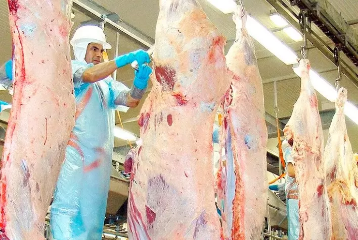 Pecuária: Abate de bovinos cresce no 1º trimestre de 2024, enquanto frangos e suínos caem