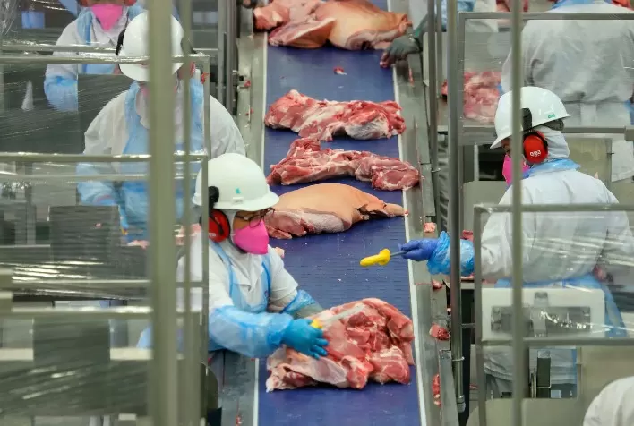 Preços da carne suína sobem com melhor escoamento; setor enfrenta problemas no RS