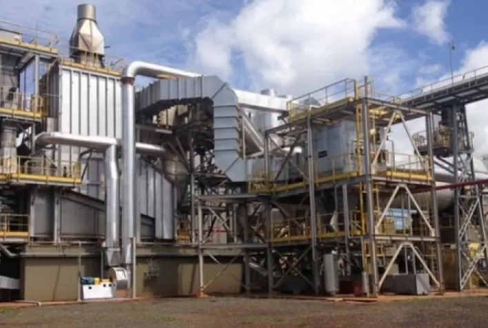 Investimentos na Geração de Biomassa Oscilam, Afetando a Cadeia de Bens de Capital