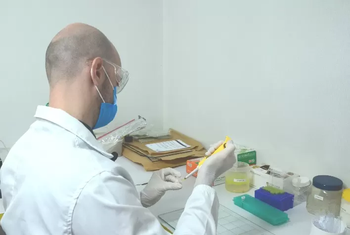 Laboratório Veterinário da Agrodefesa Realiza Exames de Brucelose em Goiás