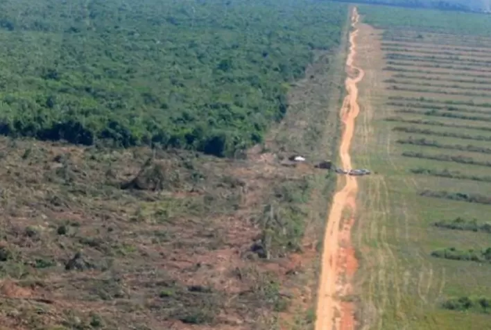 Pará Alcança Redução de 21% no Desmatamento, Menor Área Desmatada desde 2019
