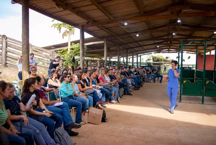 Dra. Brunna Fonseca: Referência Global em Ortopedia da Coluna Vertebral Equina