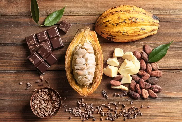 Exporta Mais Brasil: Inscrições Abertas para Rodada de Negócios em Ilhéus para Setor de Cacau e Chocolates