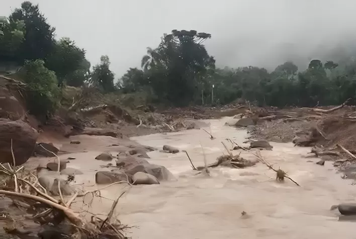 Pecanicultores contabilizam perdas nos pomares e na indústria
