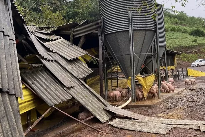 Solidariedade em Ação: Sistema CNA/SENAR Auxilia na Reconstrução do Agro no Rio Grande do Sul
