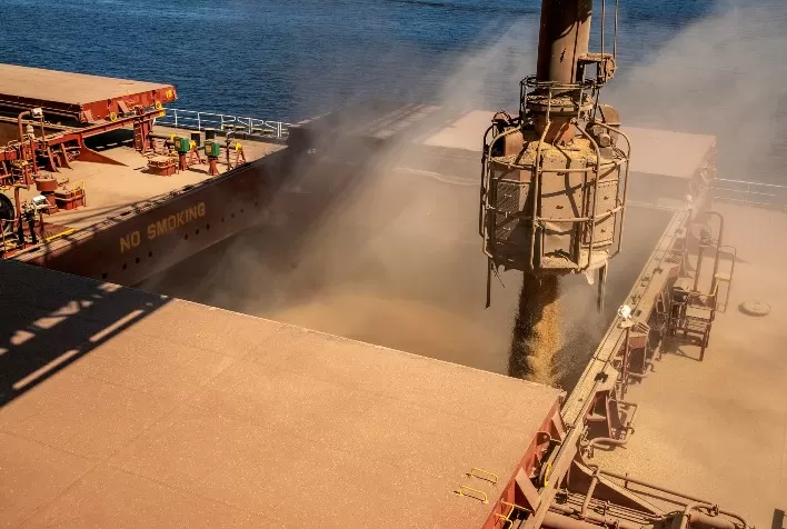 Soja Lidera Exportações Brasileiras: Conheça os Principais Produtos