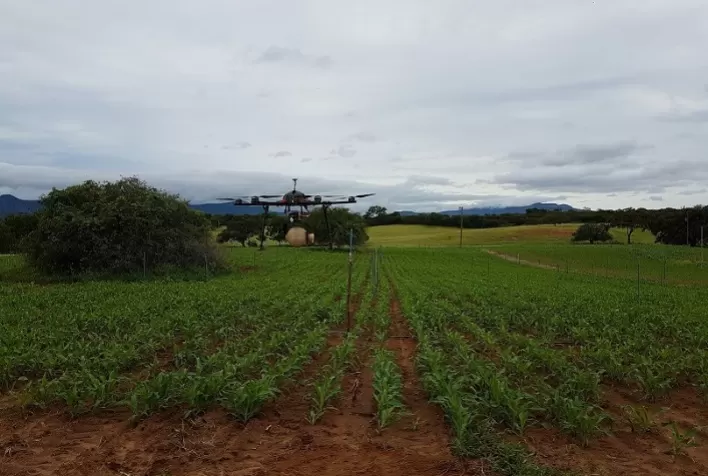 Governo de Minas realiza eventos de inovação tecnológica para o agro